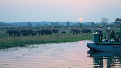 Elephant Sunset, Zimbabwe, September 19, 2013